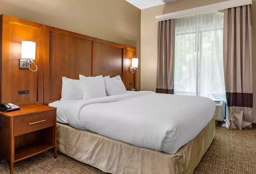 ホテル Comfort Suites Clayton  Garner
