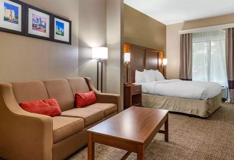 ホテル Comfort Suites Clayton  Garner
