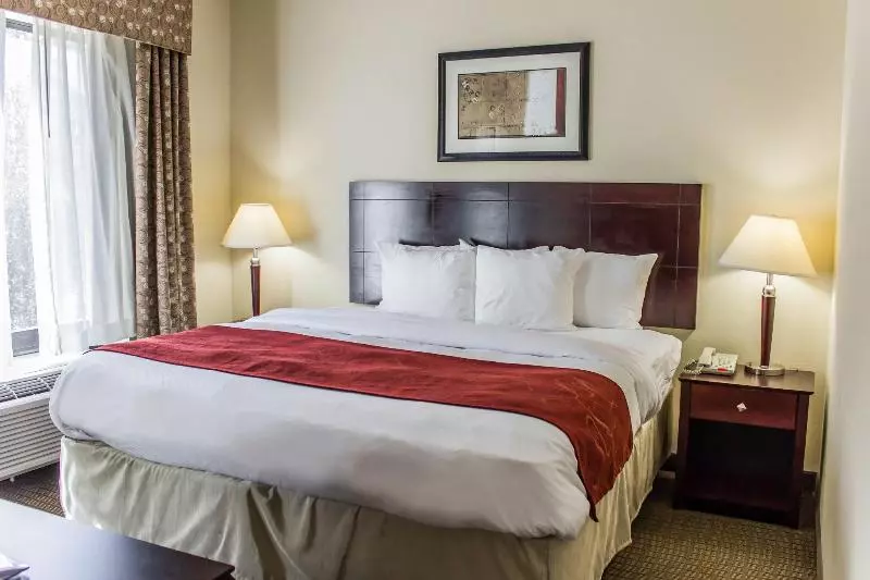 ホテル Comfort Suites Clayton  Garner