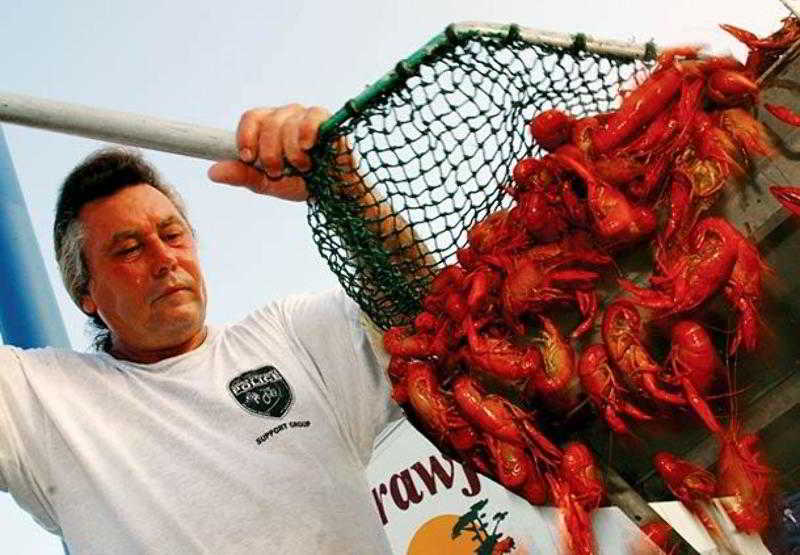 فندق Courtyard Shreveport Airport