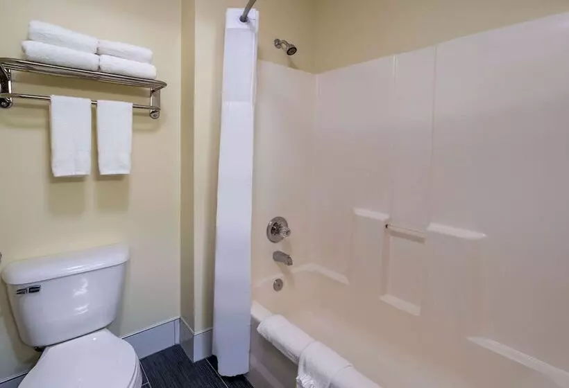 酒店 Days Inn By Wyndham Grayson