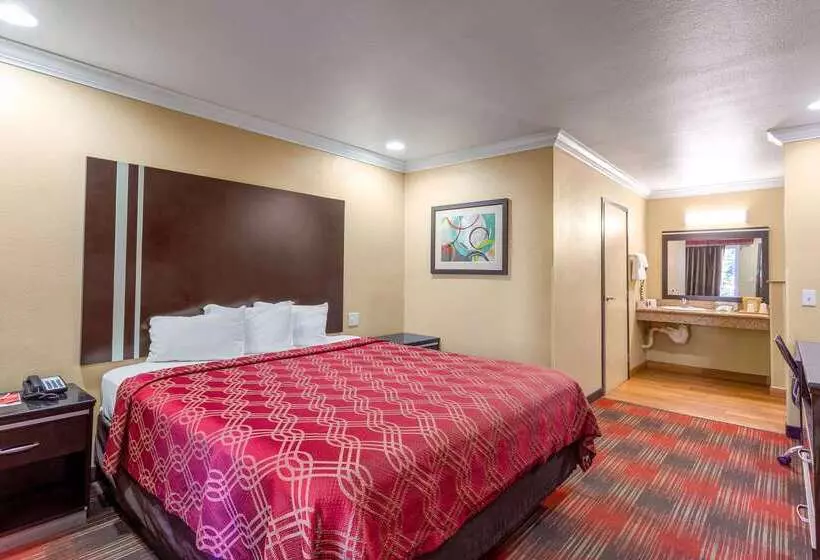 酒店 Econo Lodge Inn & Suites Escondido Downtown