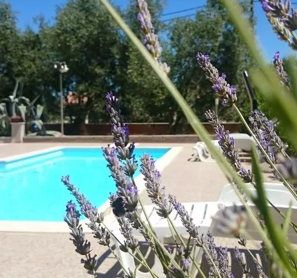 ホテル Villa Stari Dvor