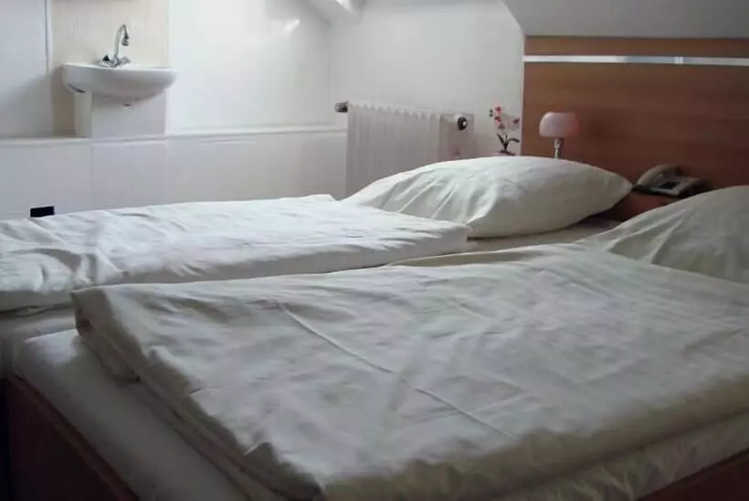 Central Galerie Hotel Am Beethoven Haus