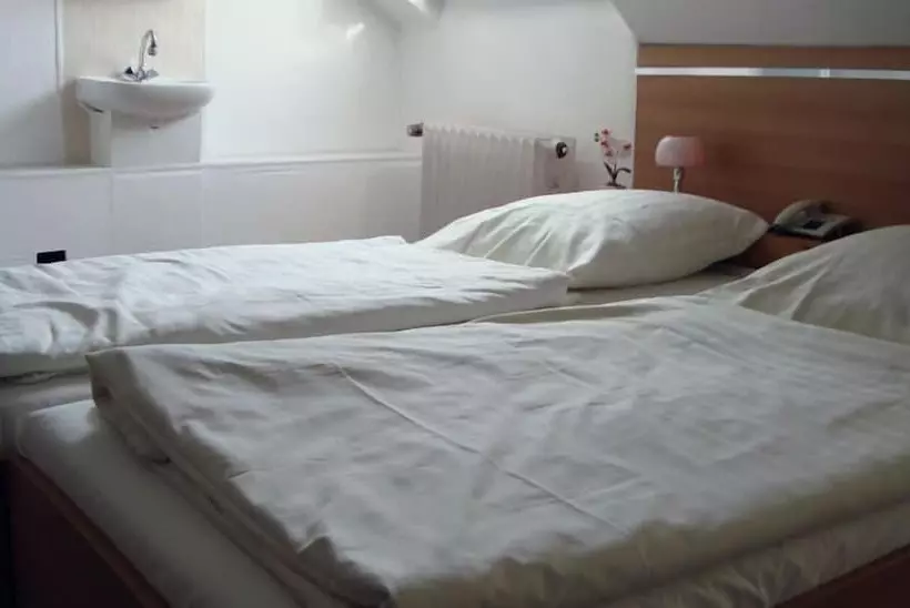 Central Galerie Hotel Am Beethoven Haus