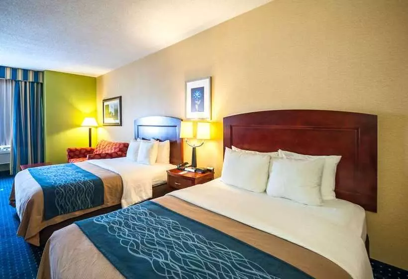 Otel Comfort Inn & Suites