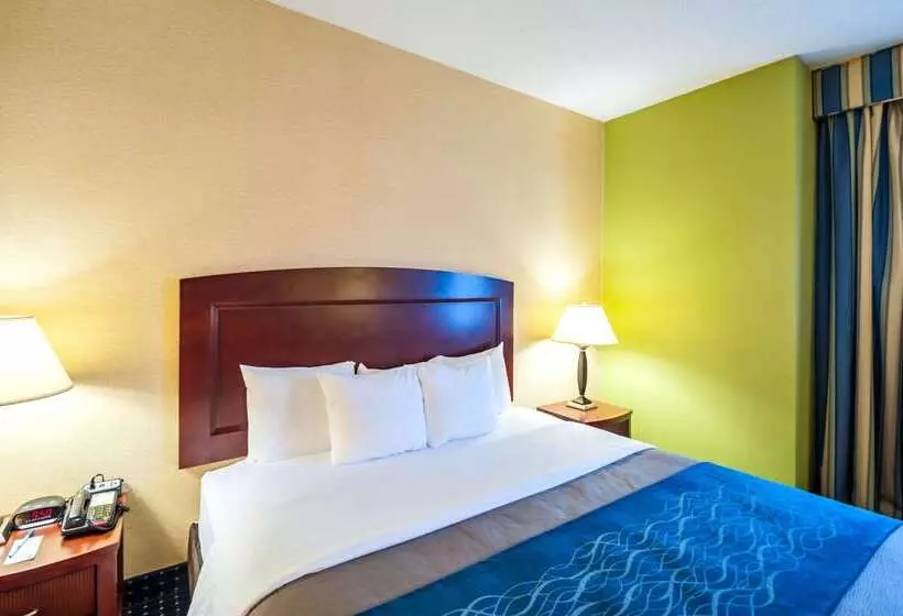 Otel Comfort Inn & Suites