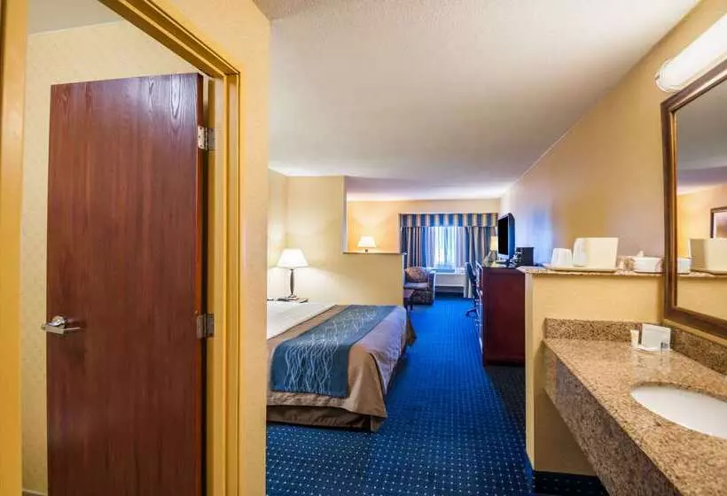 Otel Comfort Inn & Suites