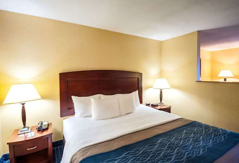 ホテル Comfort Inn & Suites