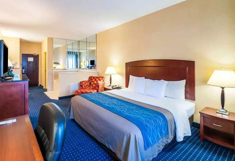 Otel Comfort Inn & Suites