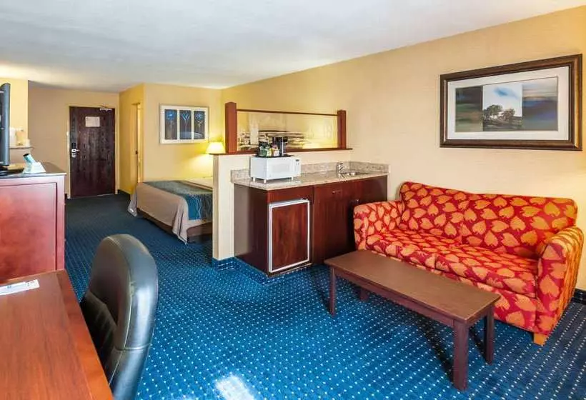 Otel Comfort Inn & Suites
