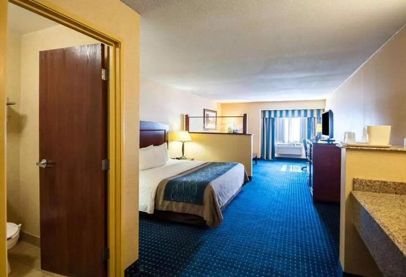 Otel Comfort Inn & Suites