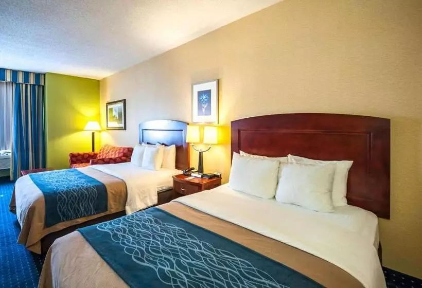 Otel Comfort Inn & Suites