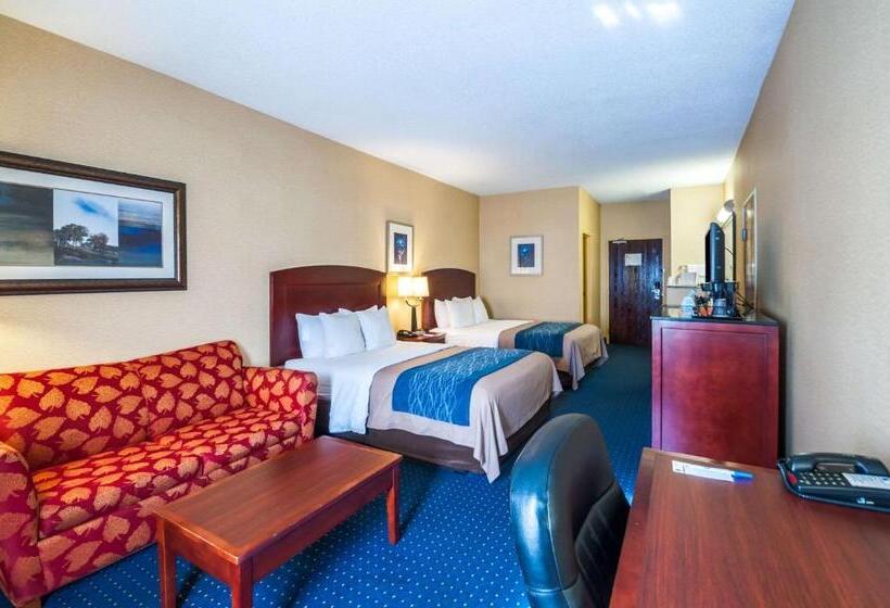 ホテル Comfort Inn & Suites