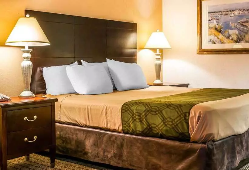 酒店 Econo Lodge Vincennes