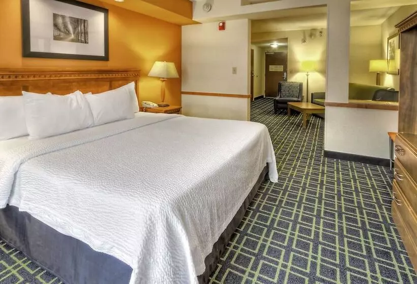 酒店 Stones River Inn & Suites