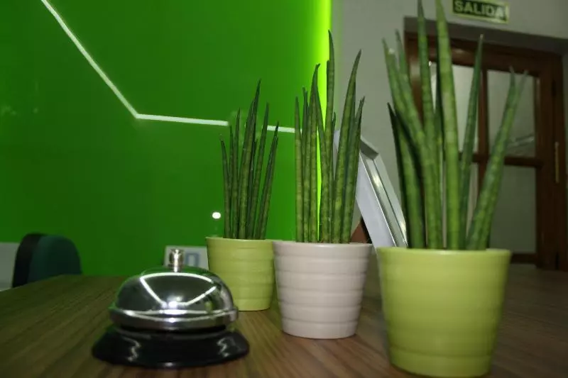 בית מלון כפרי Hostal La Estacion