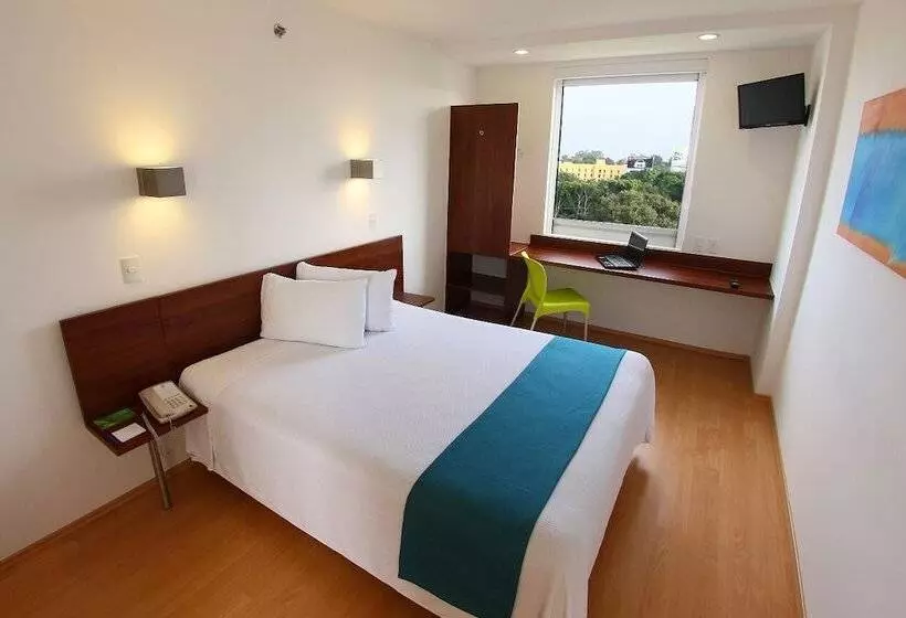 酒店 One Xalapa Las Animas