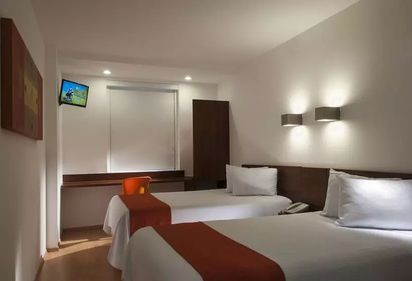 酒店 One Xalapa Las Animas