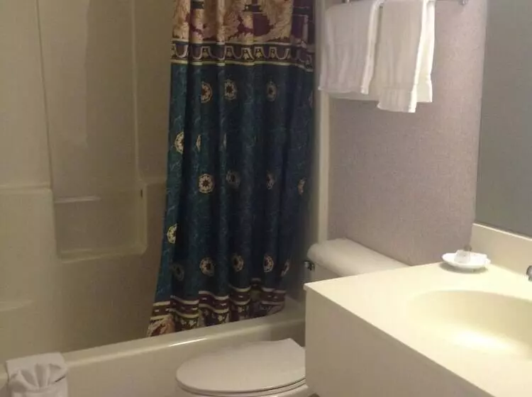 Hotel Parkside Inn Bridgeview