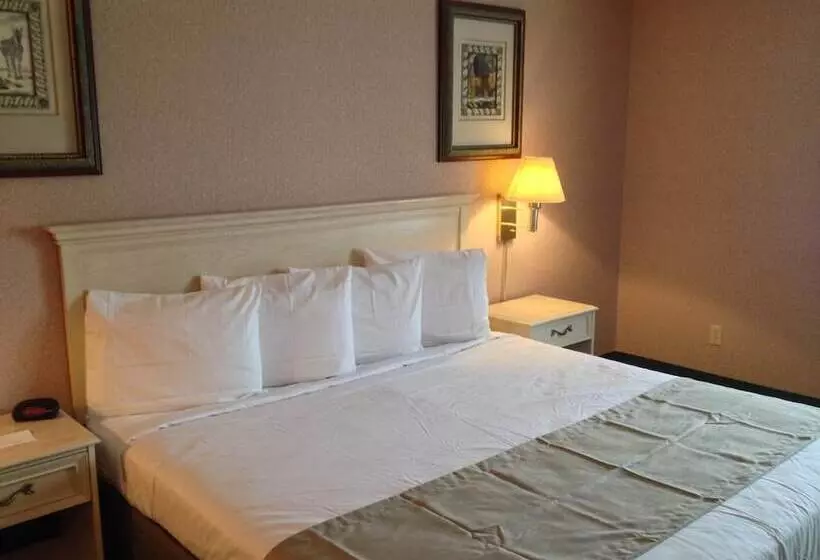 Hotel Parkside Inn Bridgeview