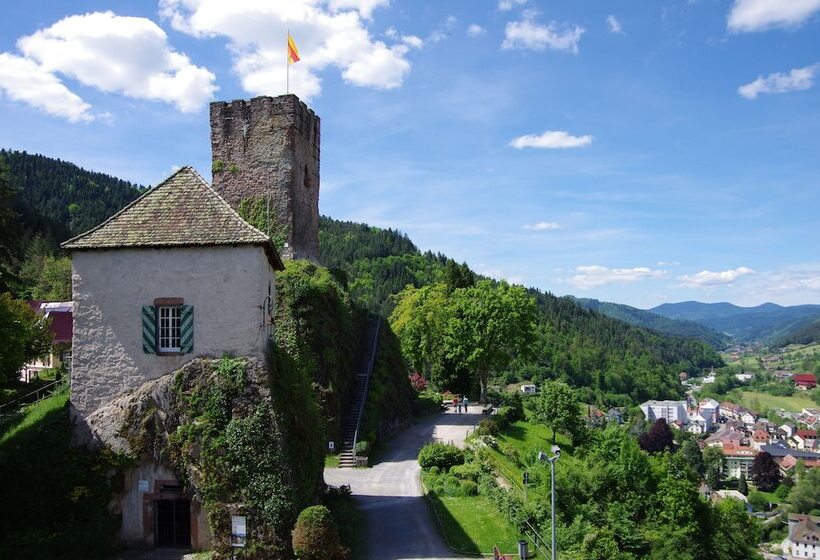 호텔 Schloss Hornberg