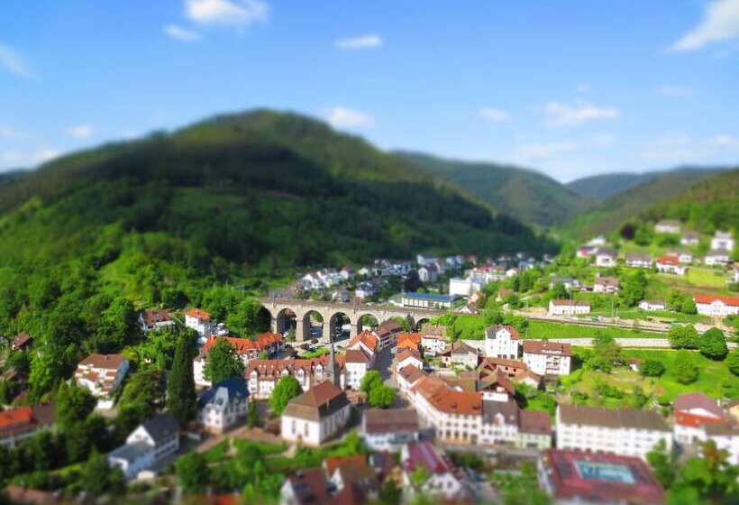 호텔 Schloss Hornberg