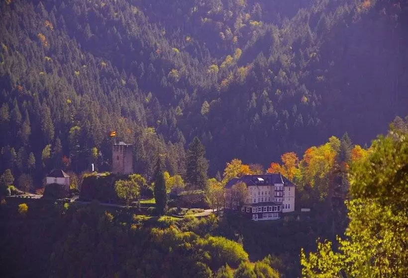 בית מלון כפרי Schloss Hornberg