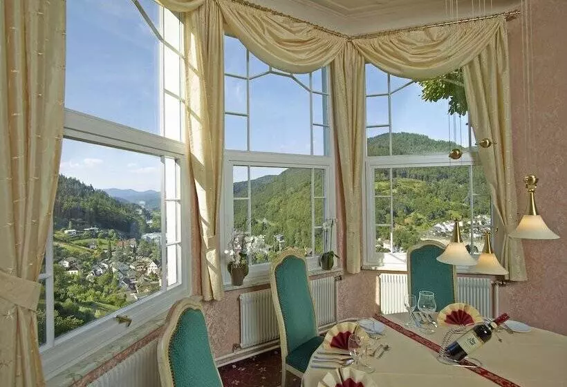 בית מלון כפרי Schloss Hornberg