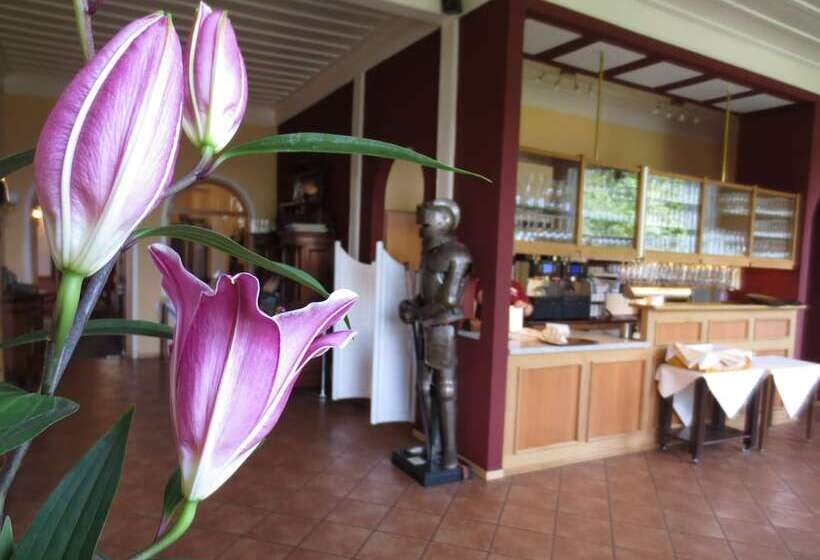 호텔 Schloss Hornberg