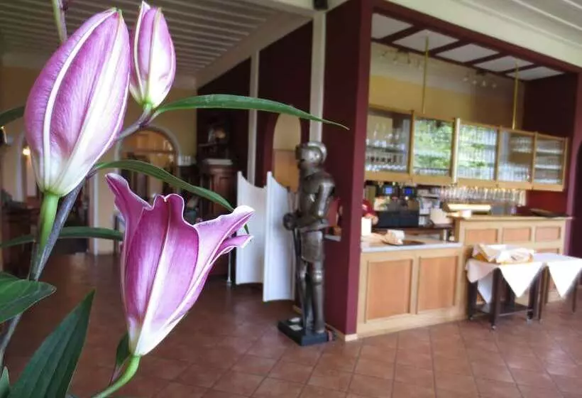 בית מלון כפרי Schloss Hornberg