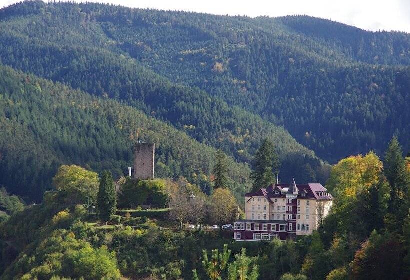 호텔 Schloss Hornberg