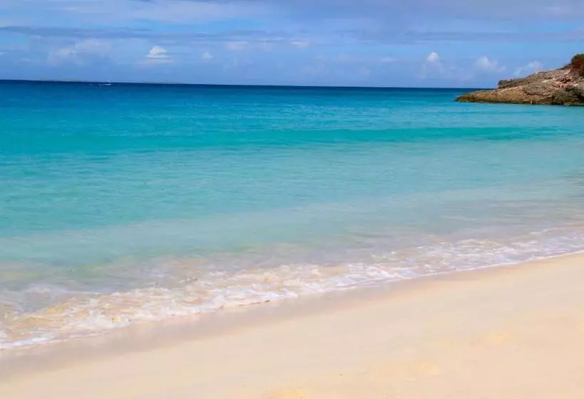 هتل Carimar Beach Club