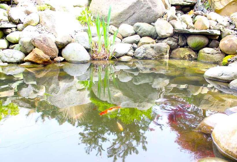 Hotelli Chrysalis Inn & Spa Bellingham, Curio Collection By Hilton