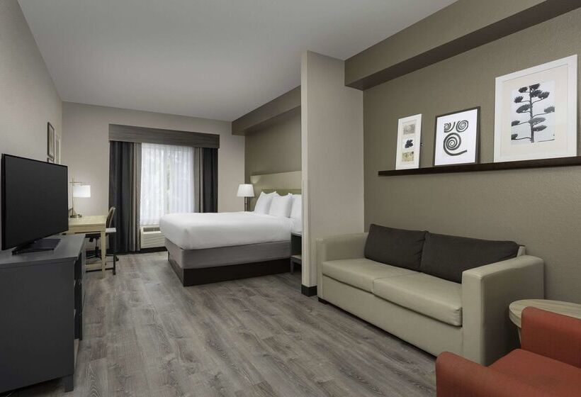 בית מלון כפרי Country Inn & Suites By Radisson, Gainesville, Fl