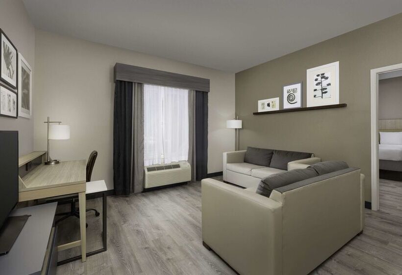 בית מלון כפרי Country Inn & Suites By Radisson, Gainesville, Fl