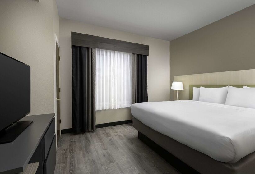 בית מלון כפרי Country Inn & Suites By Radisson, Gainesville, Fl