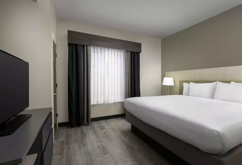 ホテル Country Inn & Suites By Radisson, Gainesville, Fl