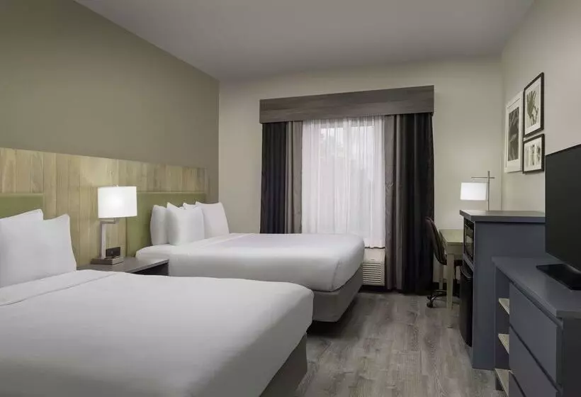 ホテル Country Inn & Suites By Radisson, Gainesville, Fl