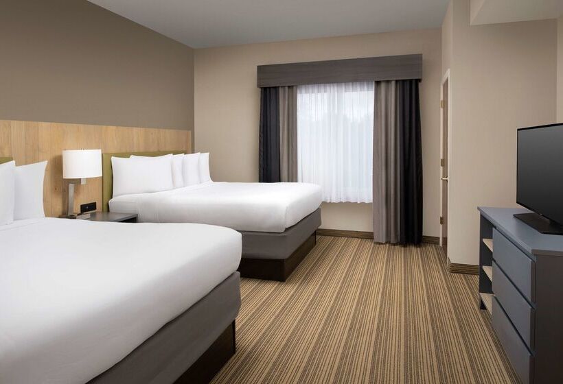 בית מלון כפרי Country Inn & Suites By Radisson, Gainesville, Fl