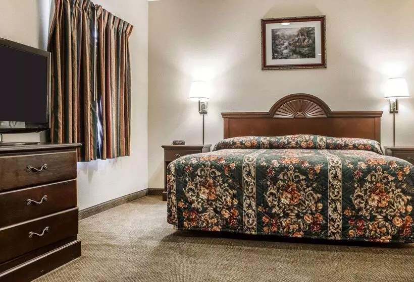 Otel Econo Lodge Inn & Suites Airport