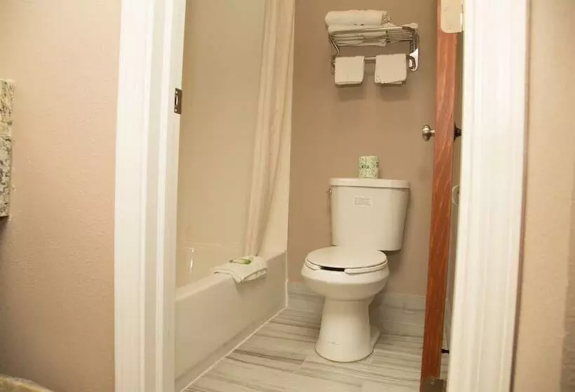 Отель Executive Inn