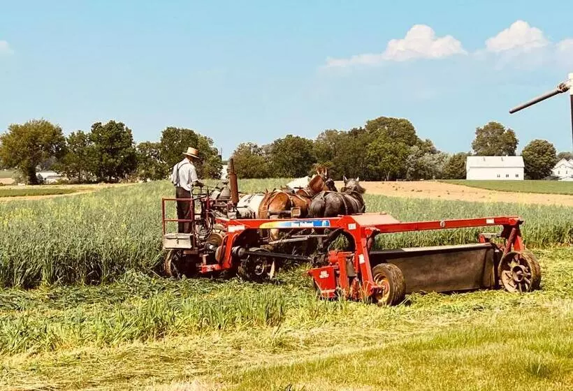 酒店 Scottish Inns Ronks