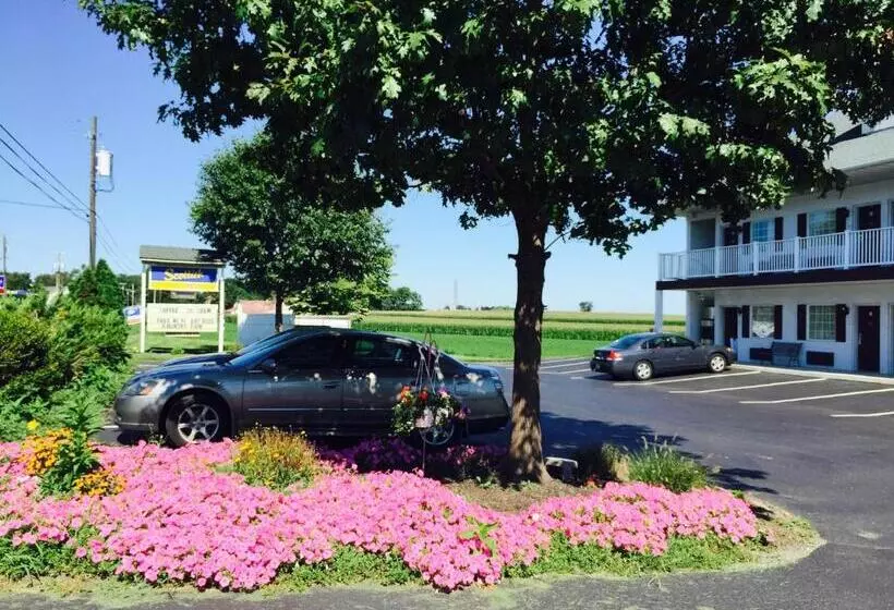 酒店 Scottish Inns Ronks