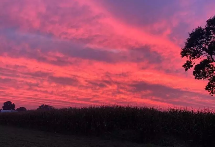 酒店 Scottish Inns Ronks