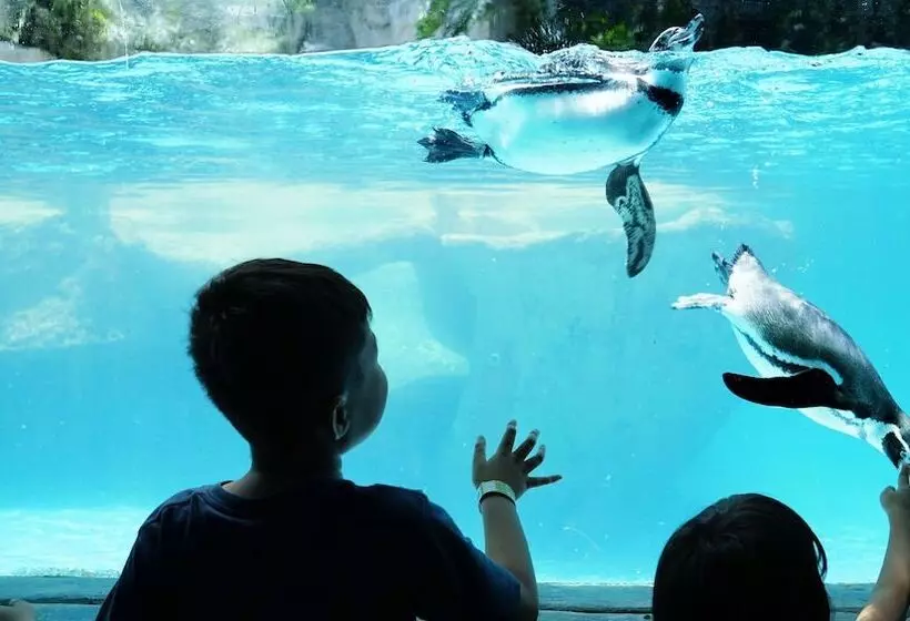 汽车旅馆  Northgate Inn Saginaw