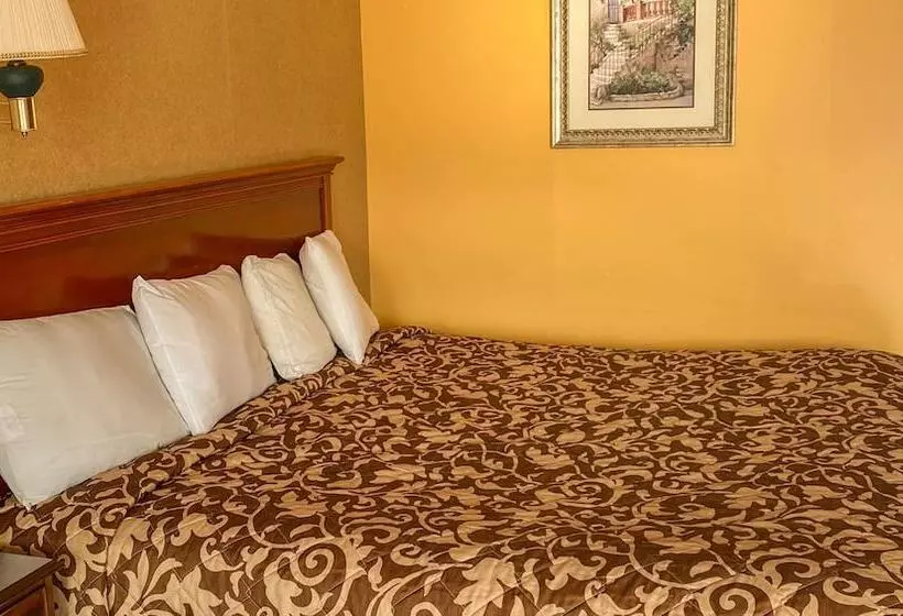 汽车旅馆  Northgate Inn Saginaw