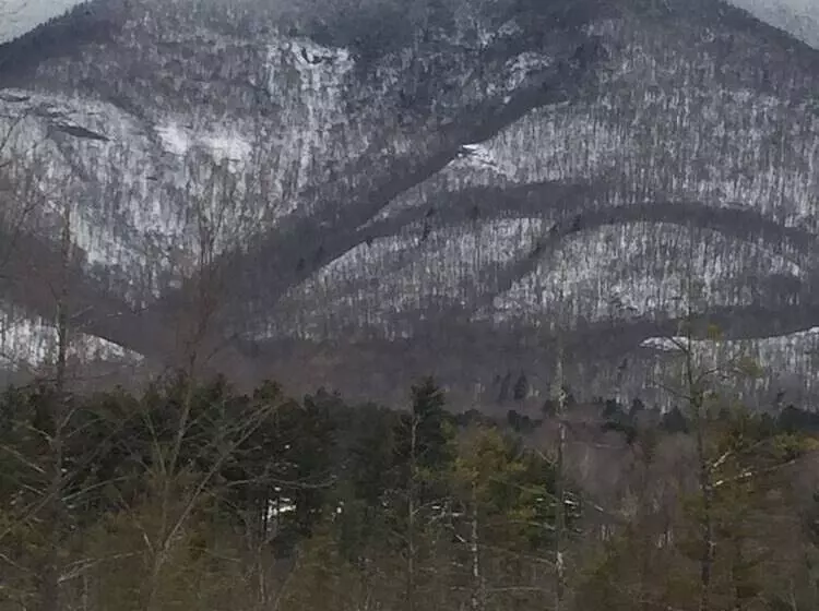 ベッドアンドブレックファースト The Ira Allen House