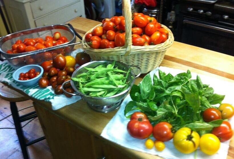 Bed and Breakfast The Ira Allen House