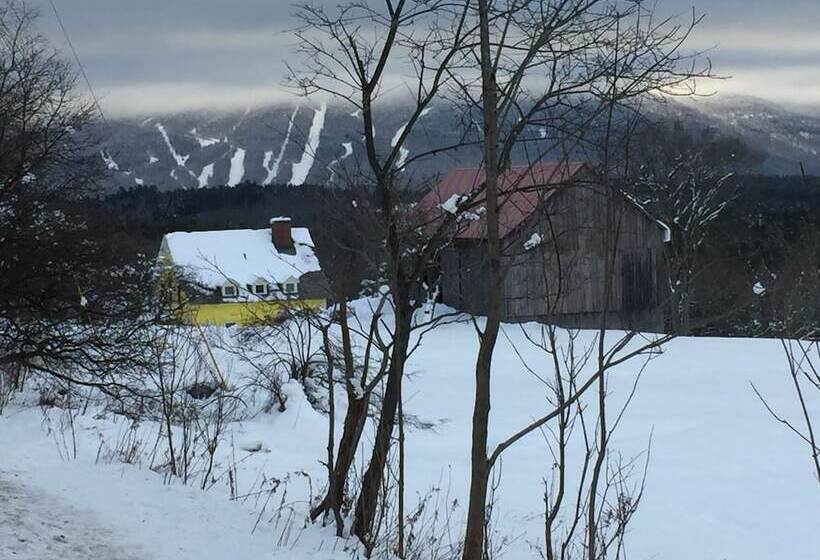 Bed and Breakfast The Ira Allen House